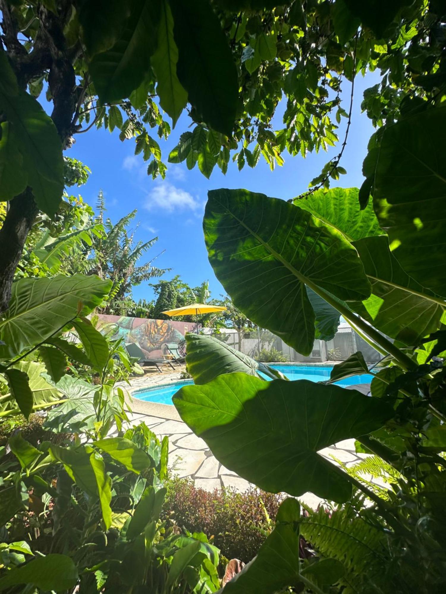 Lendormi - Maison Avec Piscine - Sainte Rose エクステリア 写真